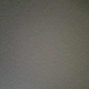 Meet your Posher, Taylynn